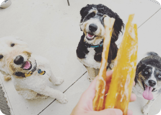 Rectangle 66 Rectangle 66