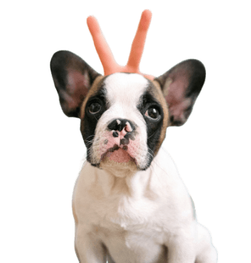 pexels-anna-shvets-4587987-removebg-preview