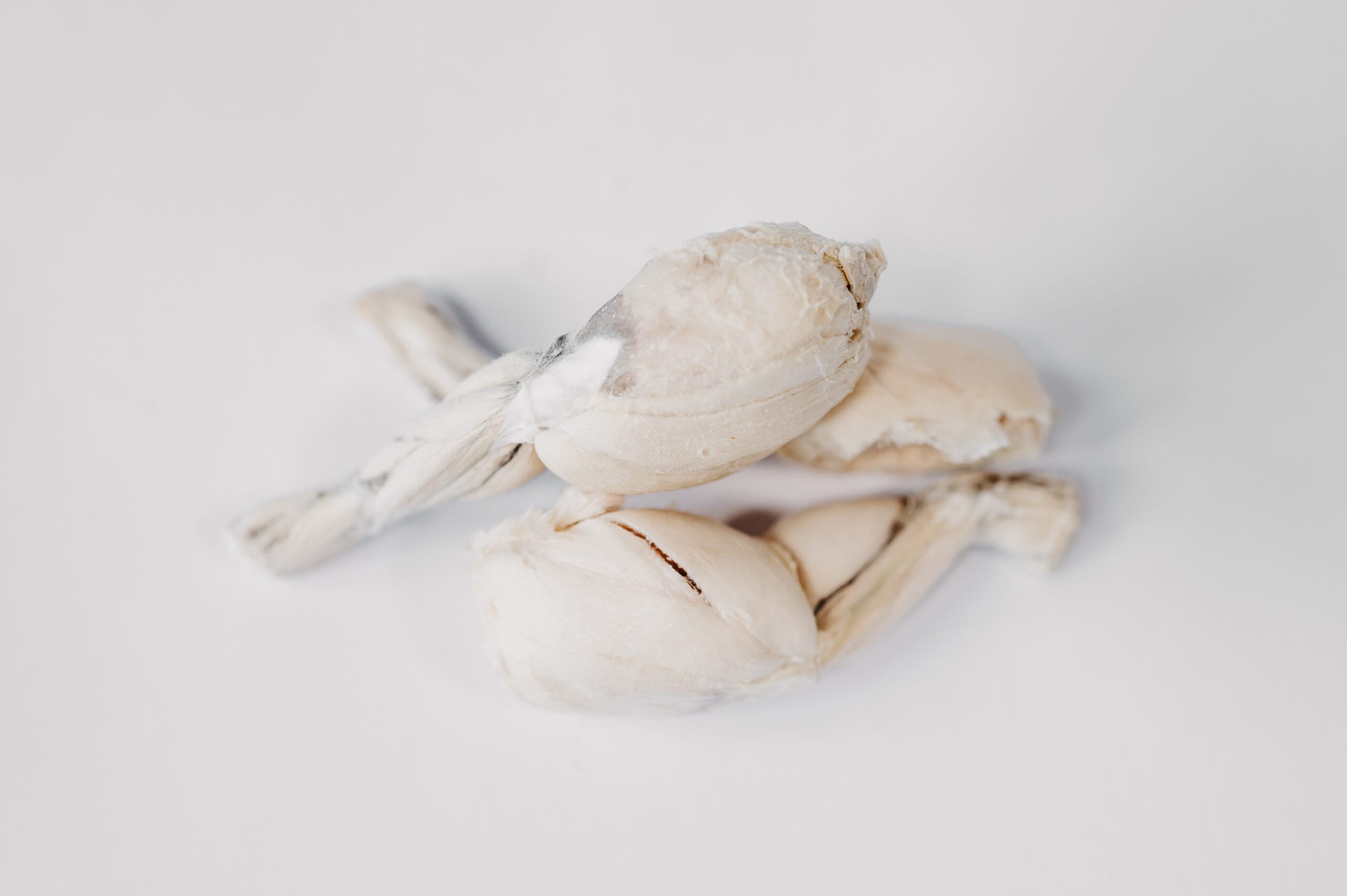 Biscuit Authority Llc.