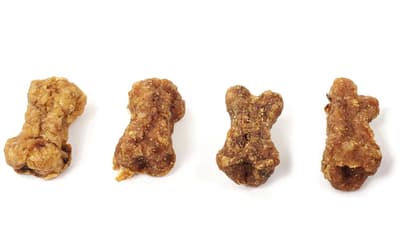dog treat