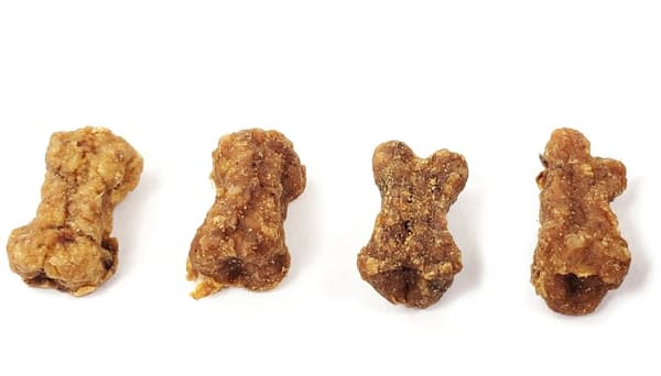 dog treat