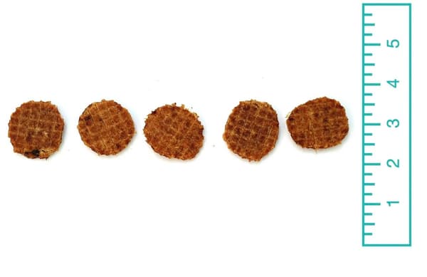 dog treat